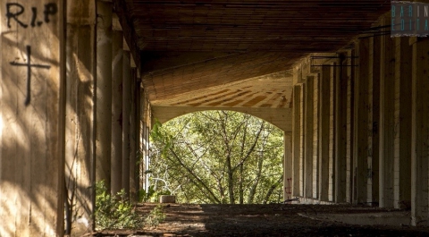 Scritte sataniche, feste notturne e tanto verde sprecato: � il Boschetto delle Fate